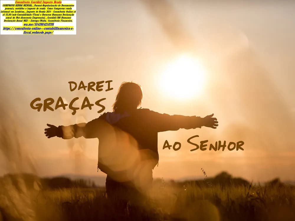 Consultoria Microempresas, Contador